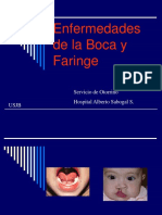 Boca y Faringe Usmp2018