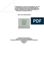 Documento - Completo - "Aplicación de Índices de Vegetación