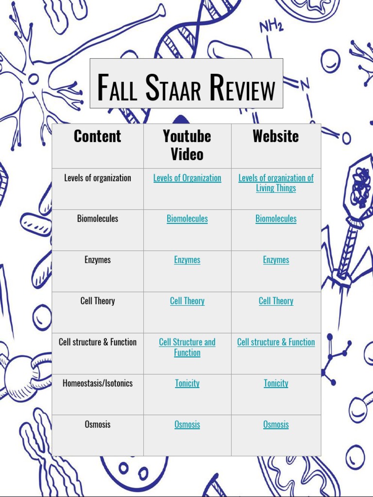 Fall Staar Review Pdf