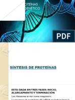 Sintesis Proteinas Mod