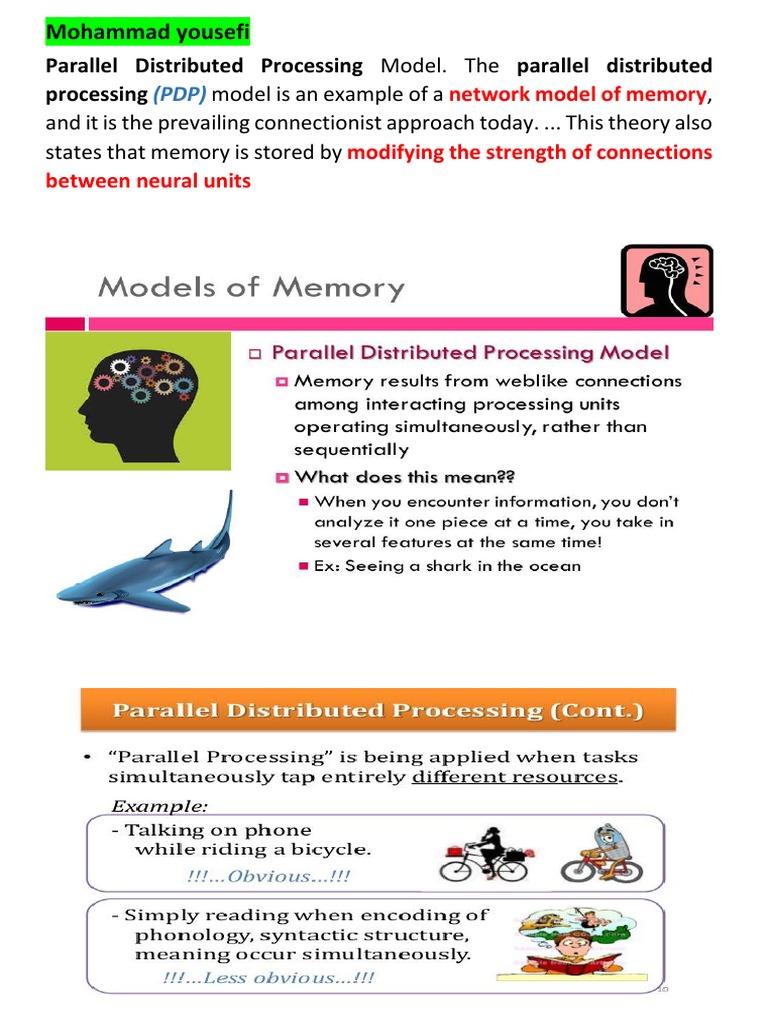 Parallel Distributed Processing Model