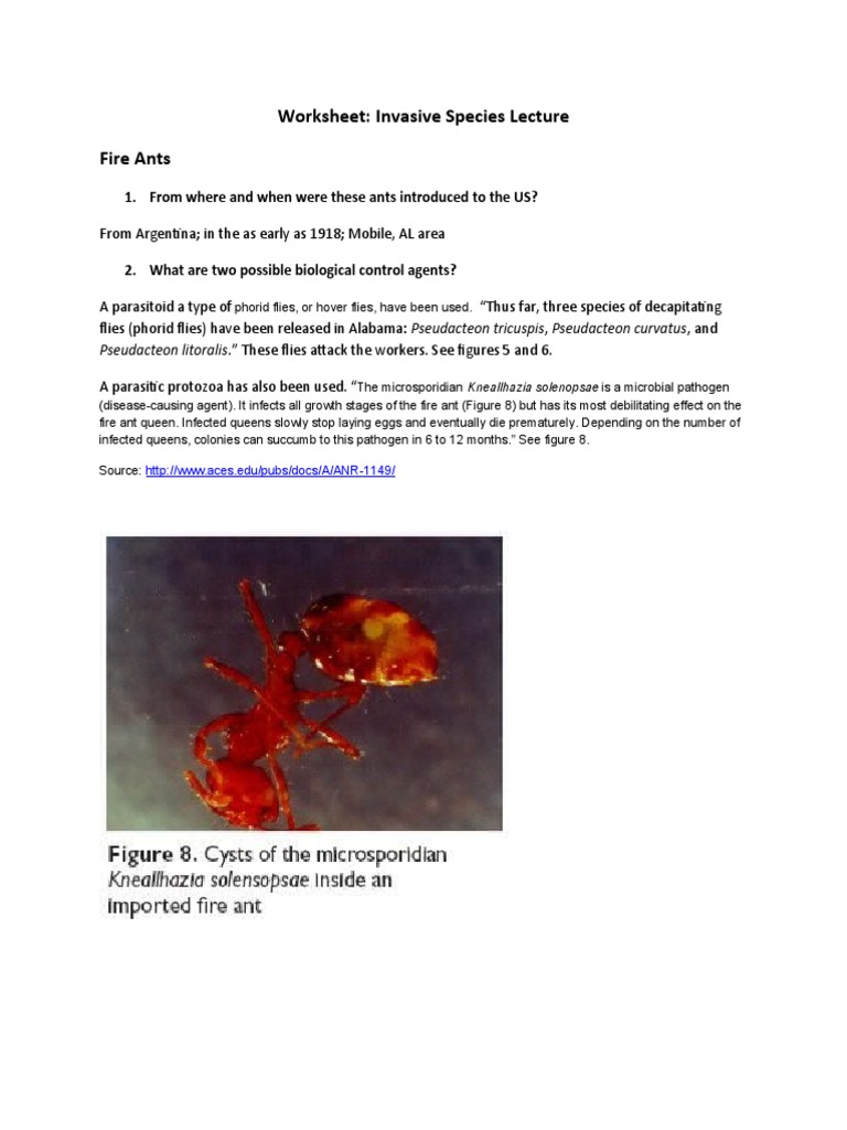 Worksheet Invasive Species