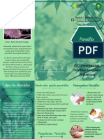 Leaflet Paratifus