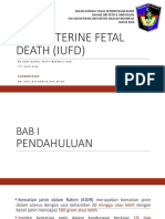 Intrauterine Fetal Death (Iufd)