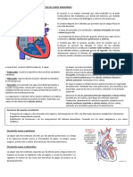 EsquemaAnatomiadelCorazon.docx