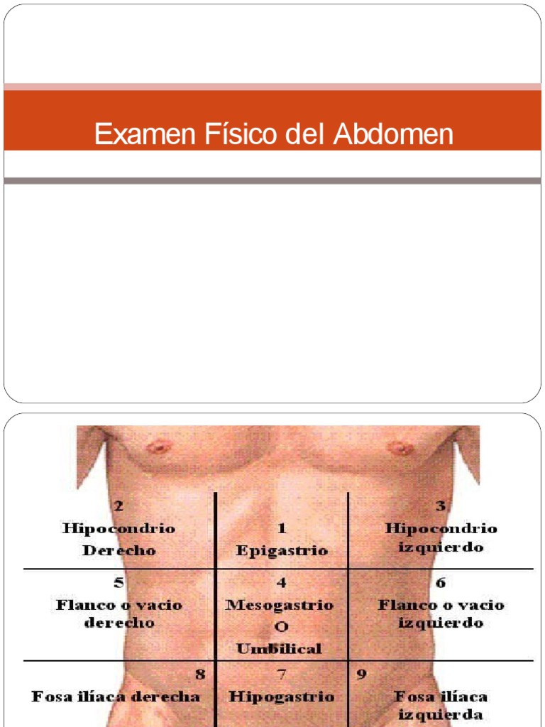 Conferencia. Examen Fisico de Abdomen. Examen Del Abdomen | Abdomen ...