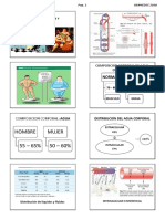 FISIO SHOCK TRAUMA I USAMEDIC 2018 Alumno PDF