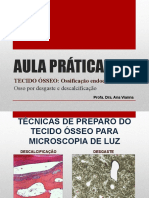 Aula Prática: TECIDO ÓSSEO: Ossificação Endocondral