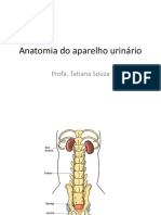 Anatomia Do Aparelho Urinário