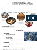 Apresentação de Meliponicultura - Disciplina Manejo de Abelhas Sem Ferrão UFRB