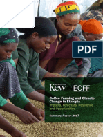 Coffee Farming and Climate Change in Ethiopia
