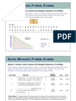 Stat Scores PDF