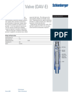 Dual Action Valve (DAV-E) : Description