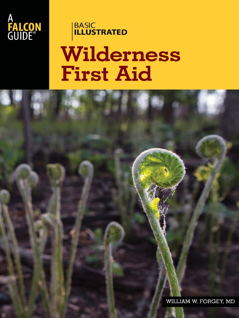 Basic Illustrated Wilderness First Aid PDF PDF Cardiopulmonary