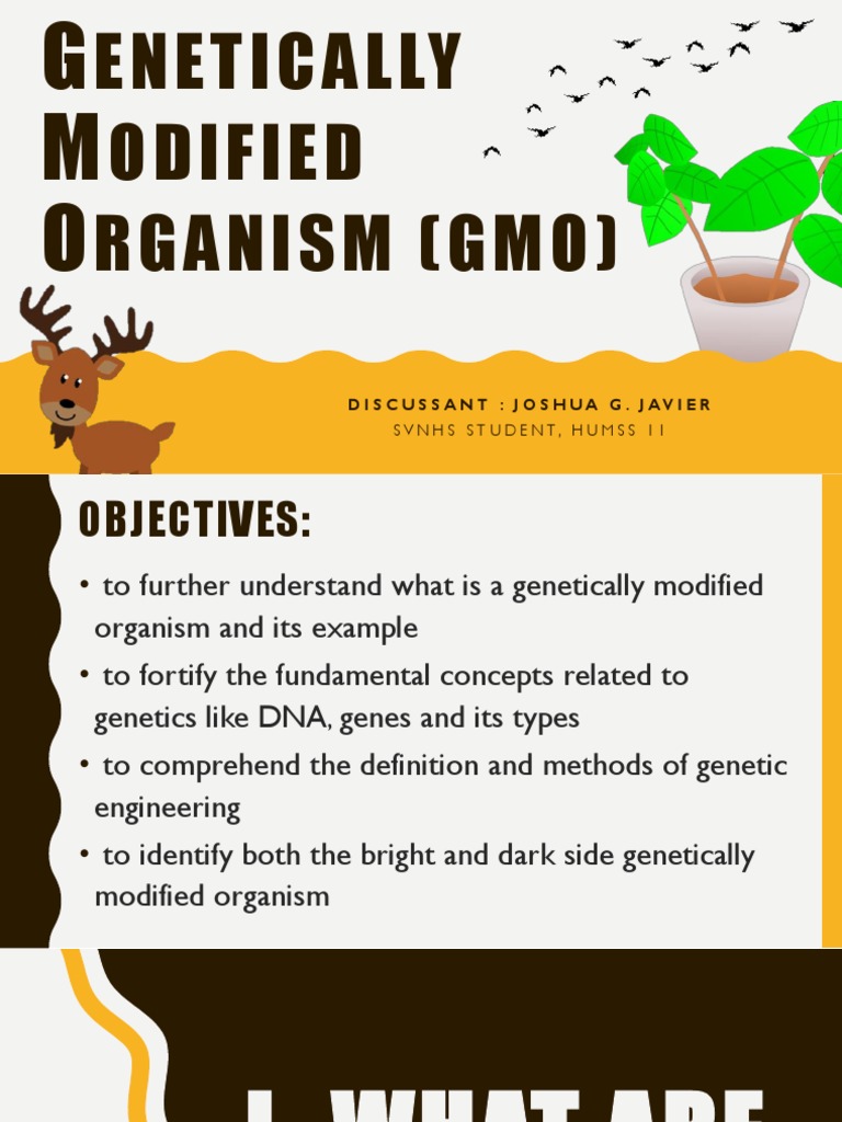 Understanding Genetically Modified Organisms | PDF | Genetically ...