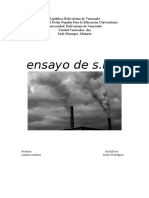 CONTAMINACIÓN DEL AIRE (Ensayo)