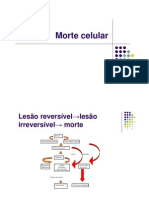 Morte Celular-Necrose e Apotose Aula 2