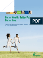 Better Health Blueprint