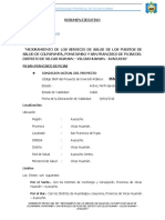 02 RESUMEN EJECUTIVO Pujas.docx