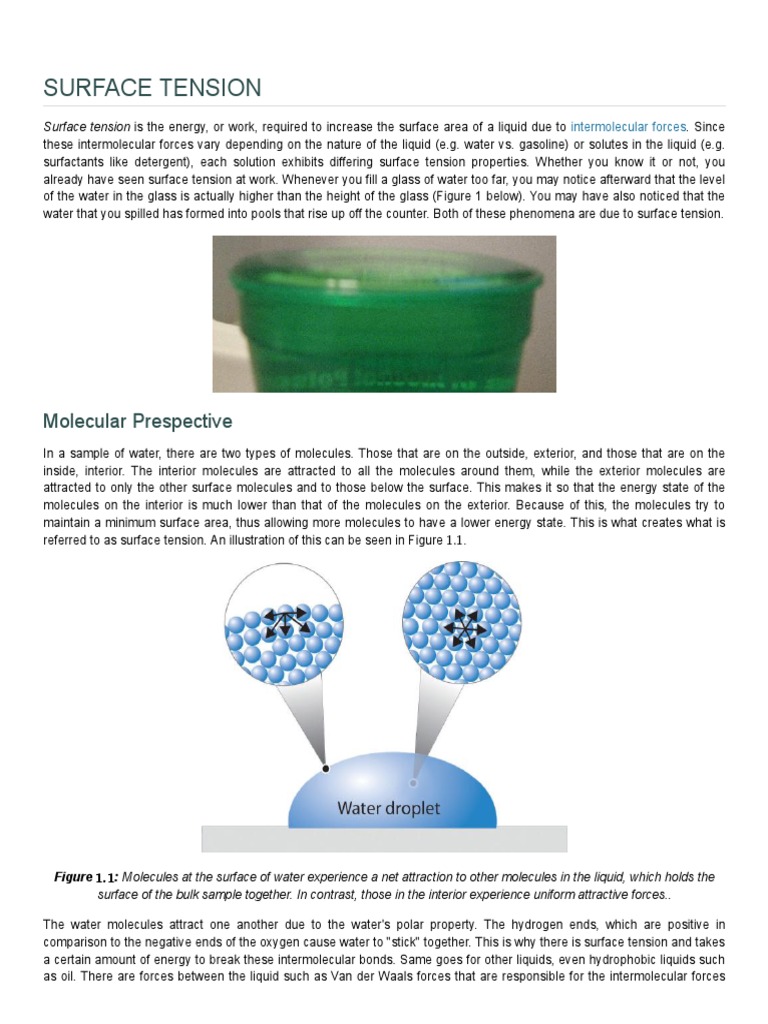 Understanding Surface Tension in Liquids | PDF | Surface Tension | Adhesion