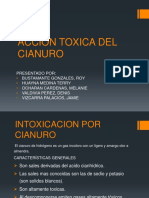 252952521 Accion Toxica Del Cn