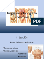 Irrigación abdominal y topografía intraabdominal