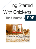 The Ultimate Guide to Getting Started with Chickens