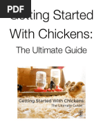 Backyard Chickens 101 | PDF | Foreign Language Studies