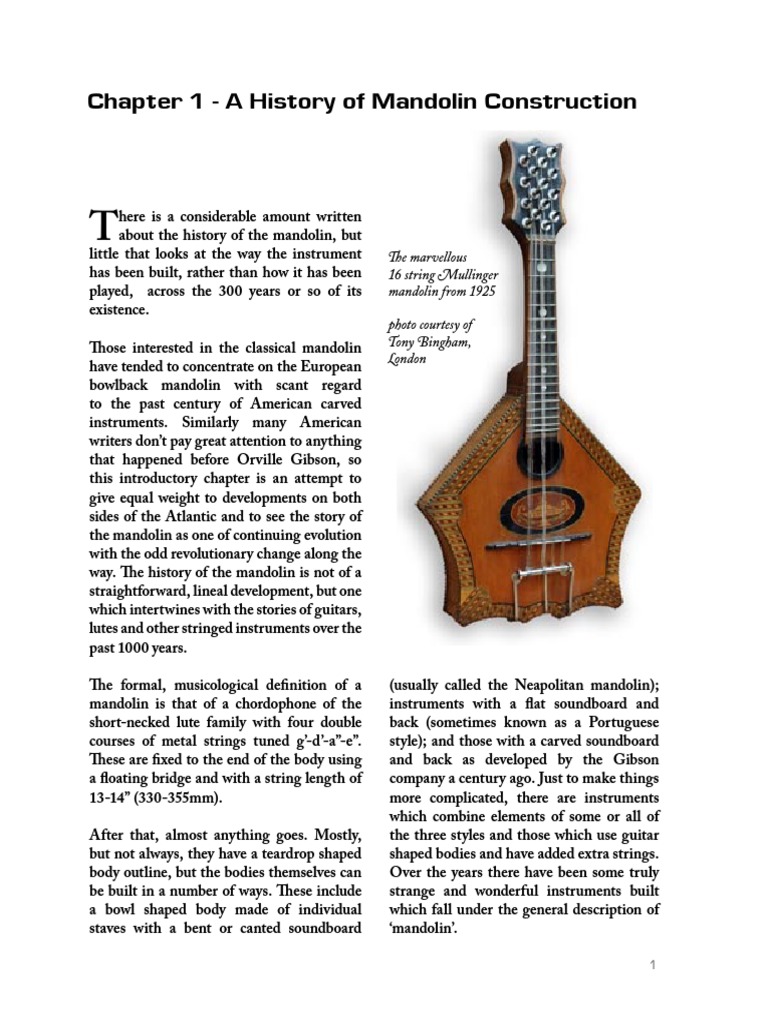 A History of Mandolin Construction PDF PDF