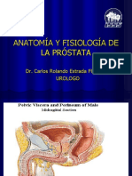 Anatomia de La Prostata