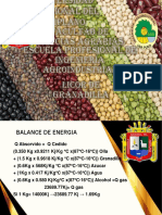 Diapositivas Balanbce de Energia