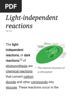 Light Independent