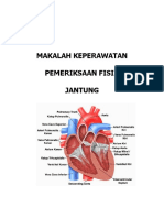 Pemeriksaan Fisis Jantung