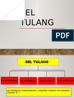 Sel Tulang