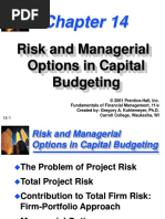 Risk and Managerial Options in Capital Budgeting