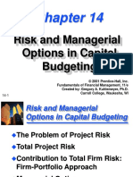Risk and Managerial Options in Capital Budgeting