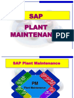 233072138 SAP PM Overview