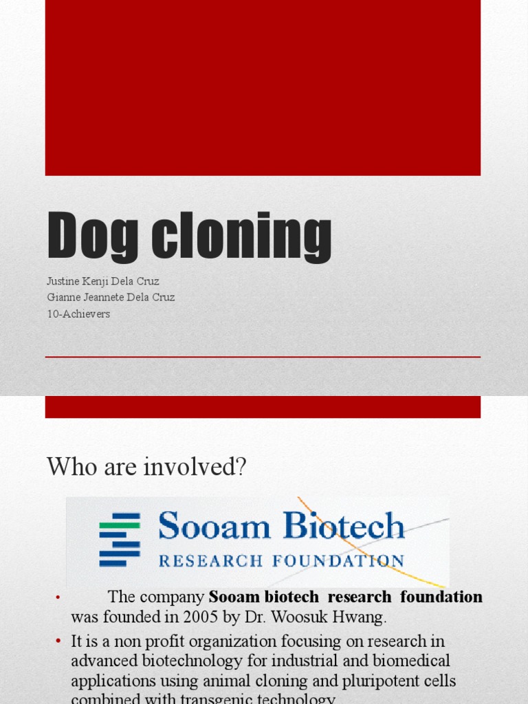 Biotech Report in Cloning 1 | PDF | Cloning | Biotechnology