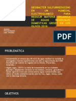 PPT PROYECTO