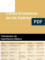 Ciclos Evolutivos de Los Helmintos