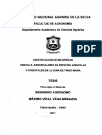 Micorrizas PDF