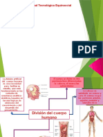 Mapamentaltema1 150218150433 Conversion Gate02