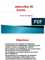 Apuntes IntroduccionCorte PP.pdf
