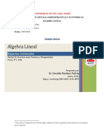 Trabajo Grupal Álgebra Lineal