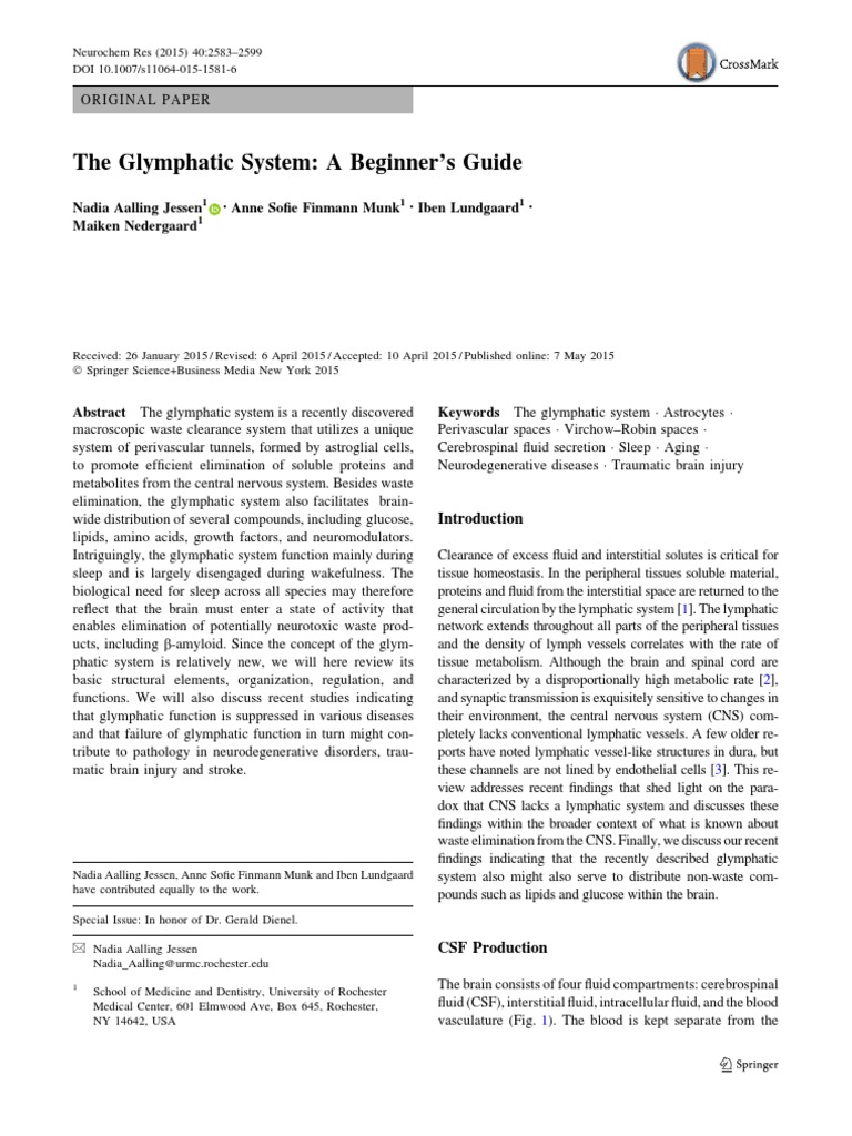 Understanding the Glymphatic System | PDF | Cerebrospinal Fluid | Cell ...