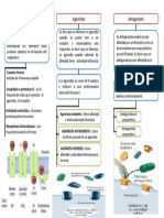 Agonistas y antagonistas en farmacología