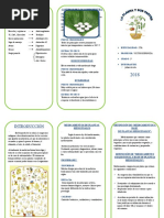 Plantas Medicinales