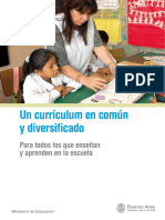 UN CURRICULUM EN COMÚN Y DIVERSIFICADO.pdf