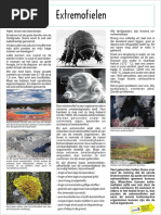 Tardigradus Extremofielen