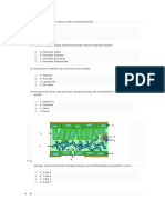 Latihan Struktur Tumbuhan 1